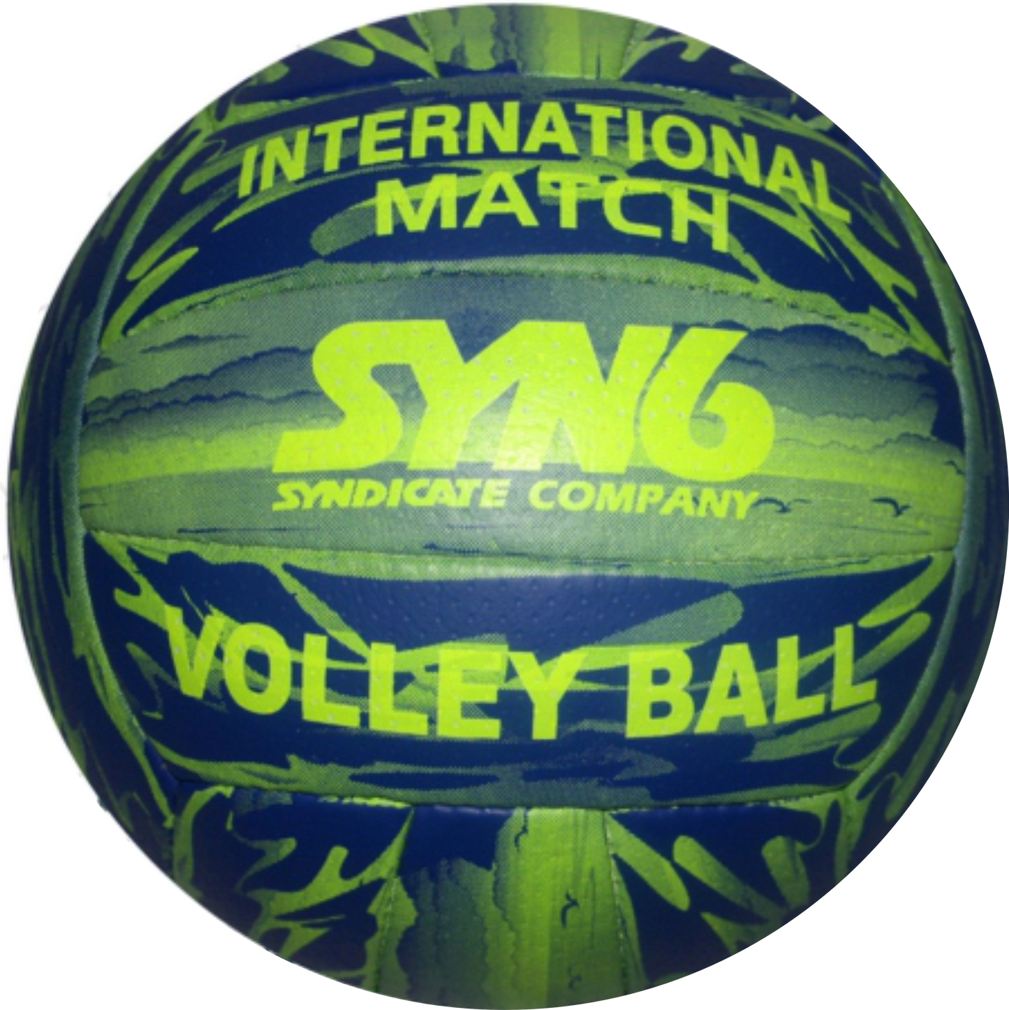 International Match Volley Ball
