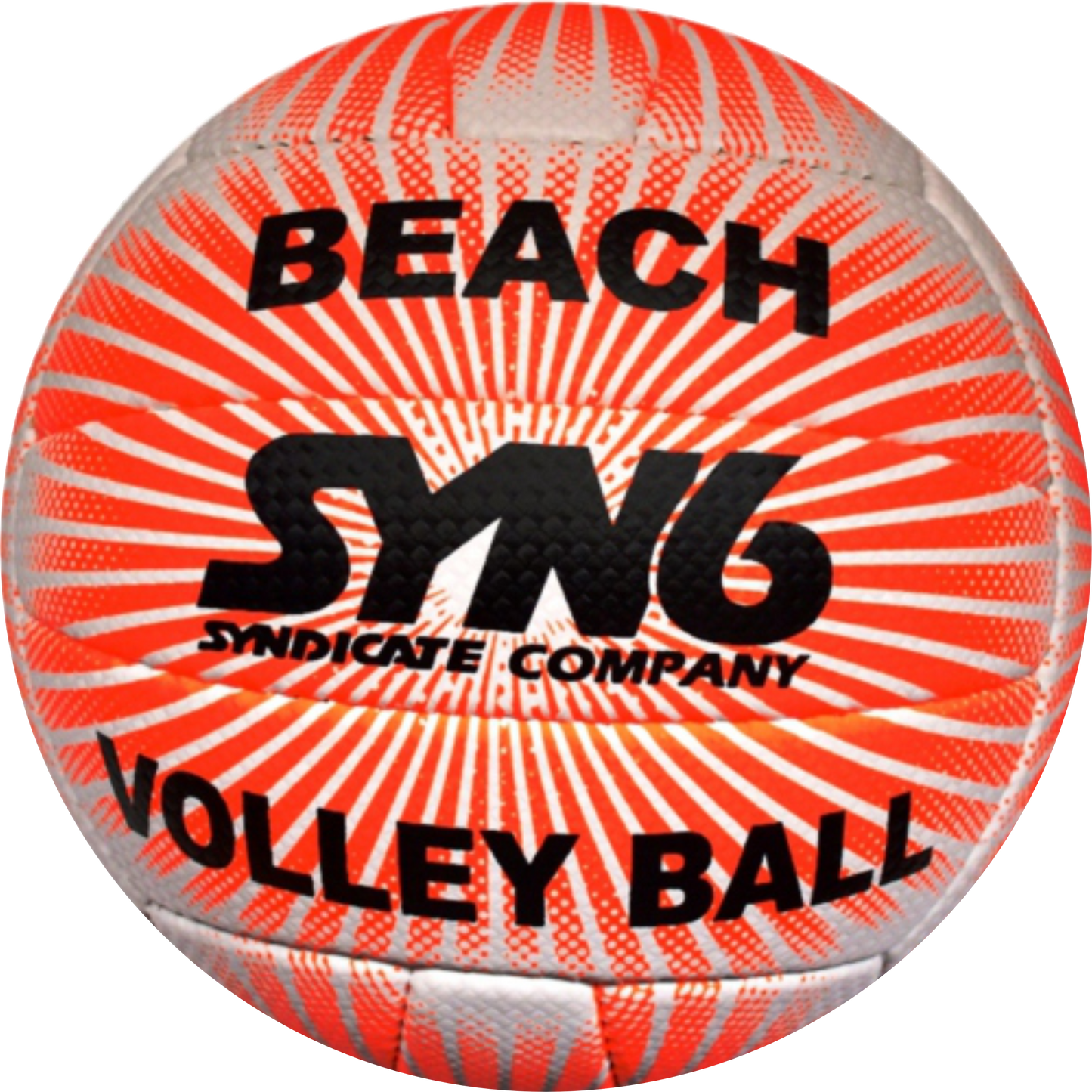 Pro Trainer Volley Ball (Carbonium)