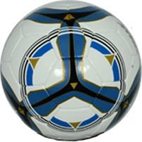 SS 6000 PRO MATCH BALL