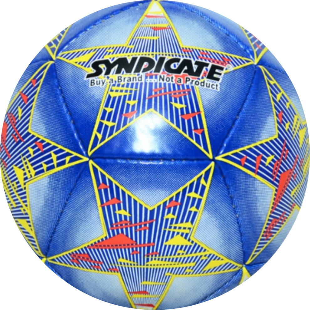 12 Panel Mini Ball – Sporting Syndicate International