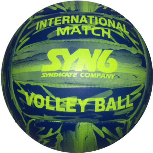 International Match Volley Ball