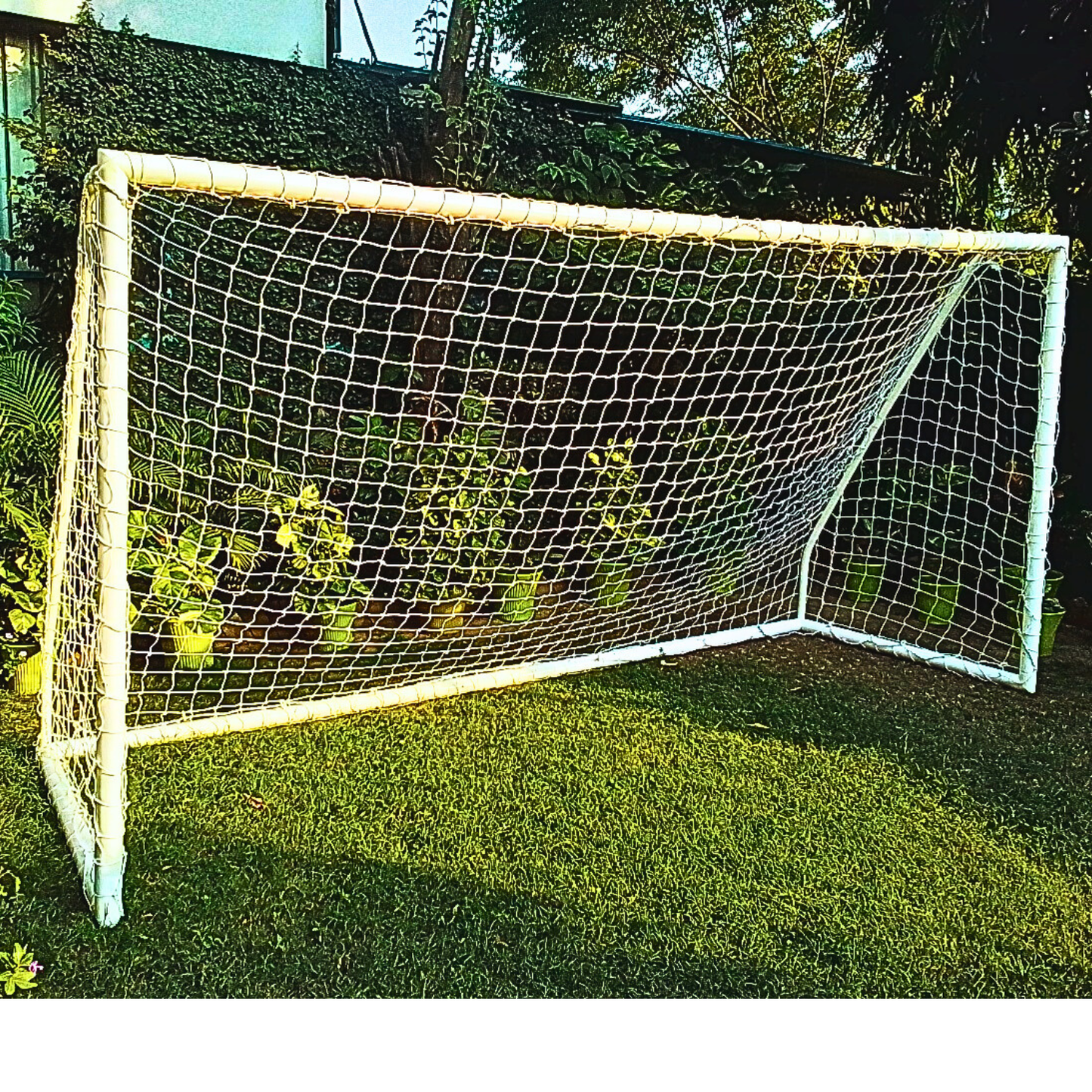 PRO GOAL POST