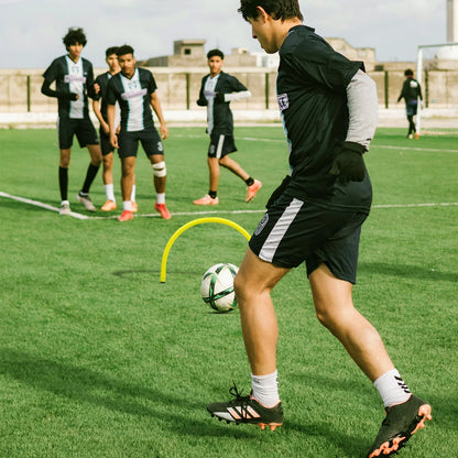 Round Passing Arc with Metal Spike