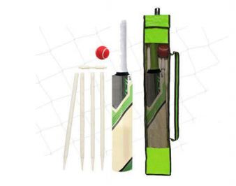Economical Wooden Cricket Set